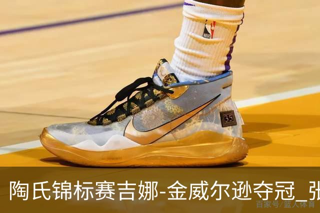 陶氏锦标赛吉娜-金/威尔逊夺冠 张维维/张雅惠T12